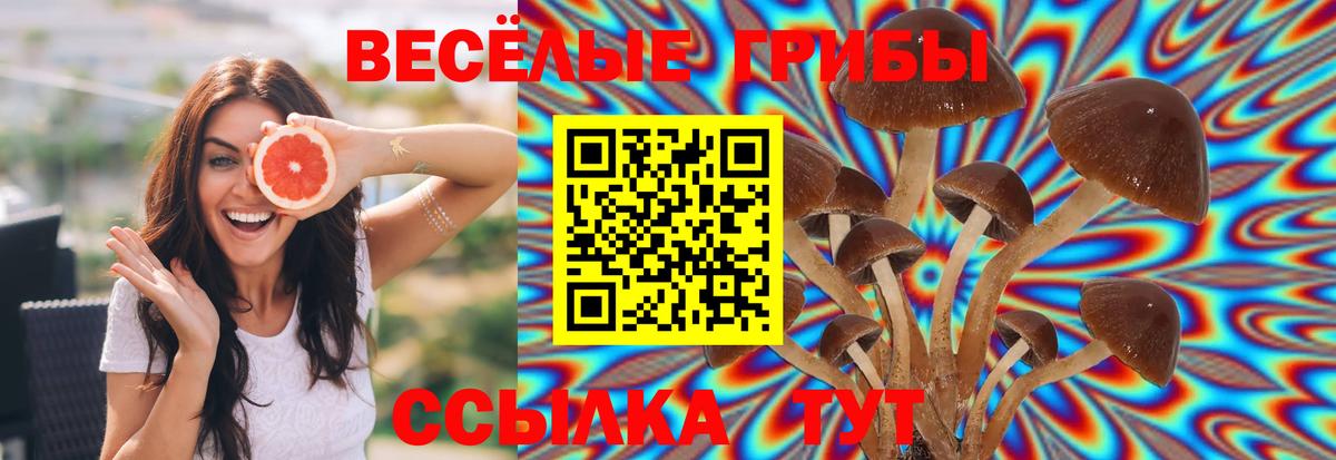 Галлюциногенные грибы мицелий Десногорск