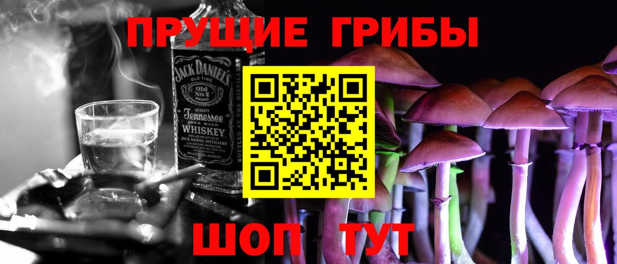 Галлюциногенные грибы Psilocybine cubensis  Галлюциногенные грибы Cubensis  Десногорск  Вход с VPN 